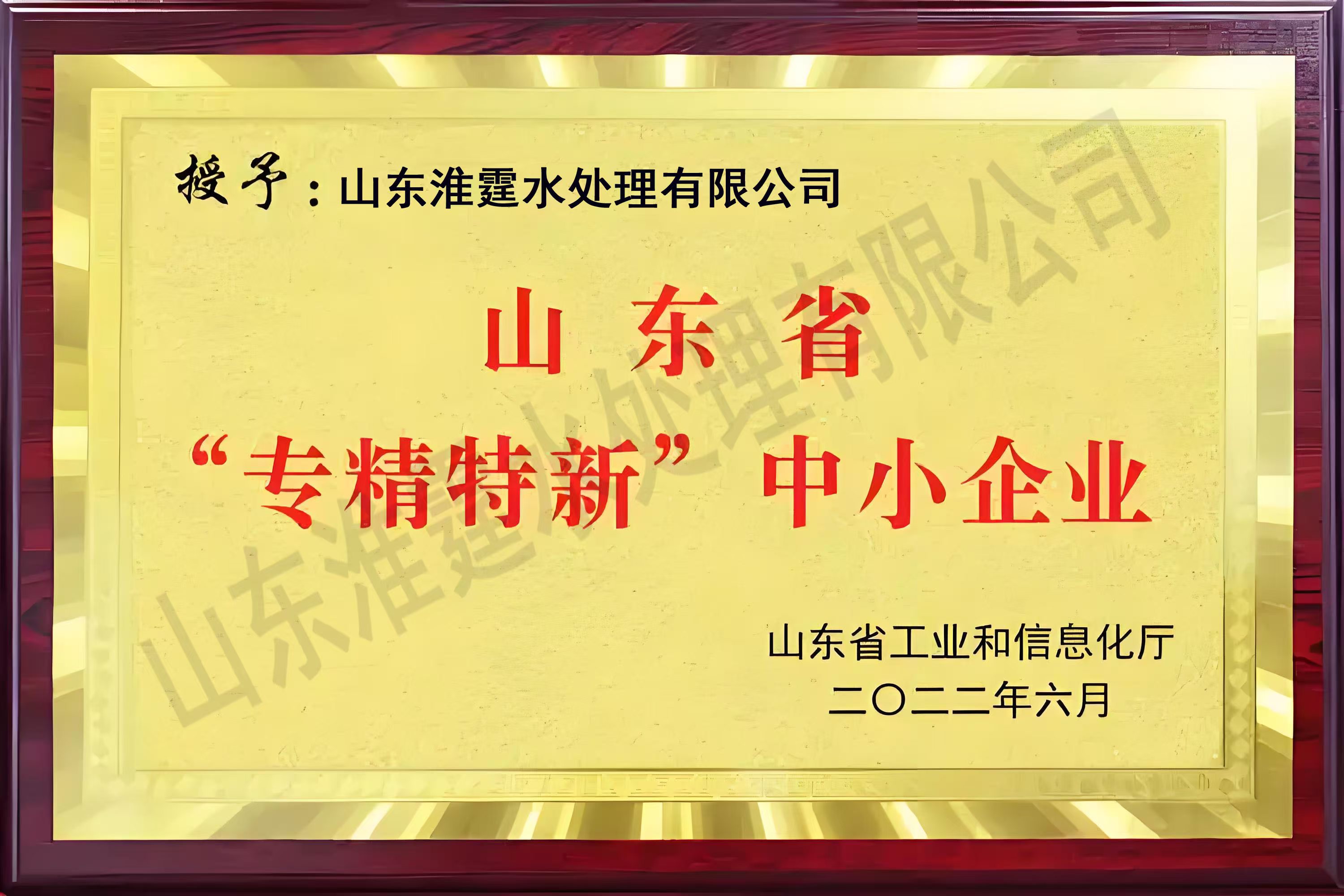 山东专精特新企业